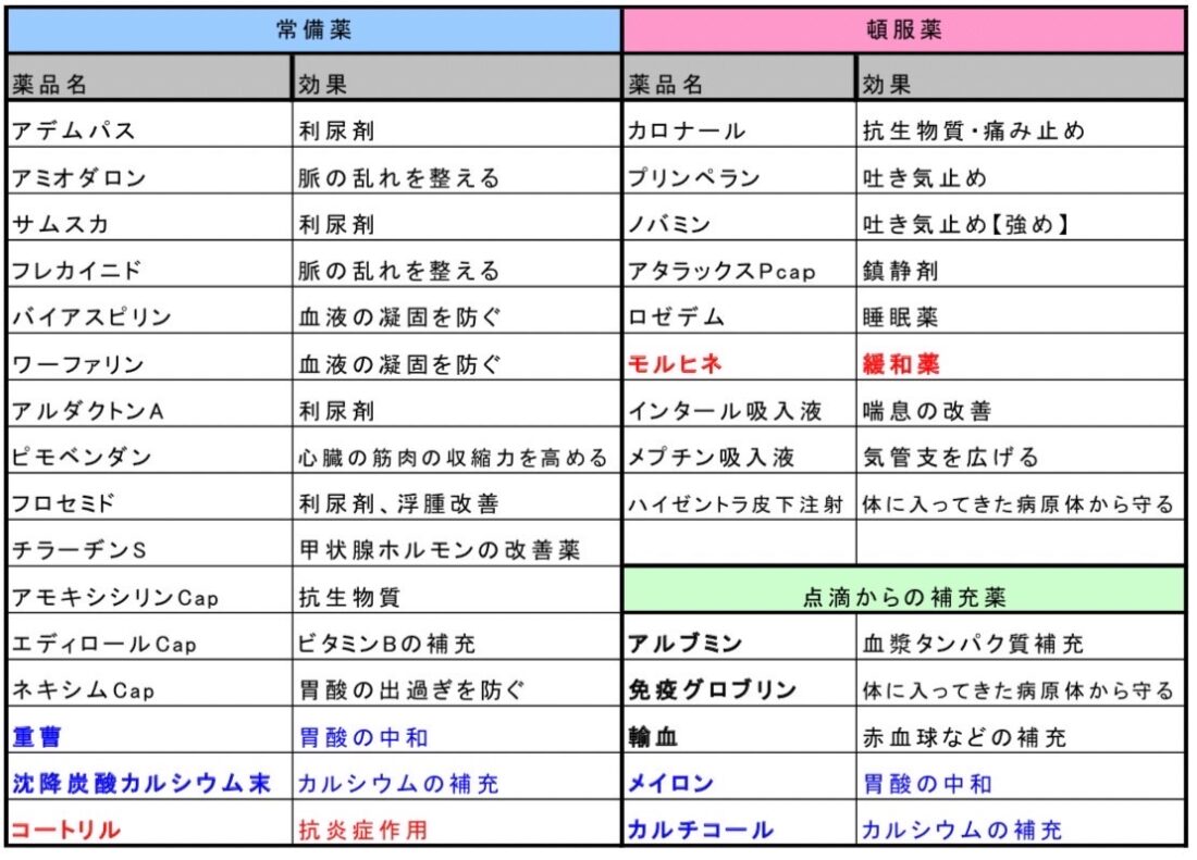 心臓病　医療的ケア児　余命宣告